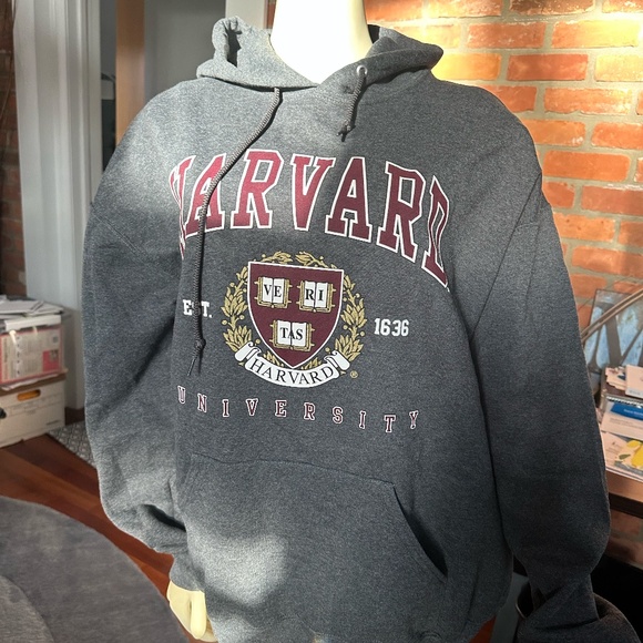 Gray Harvard Hoodie ~ Size XL - Picture 4 of 5